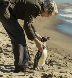The Penguin Lessons