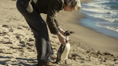 The Penguin Lessons
