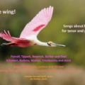 Take Wing! Songs About Birds
