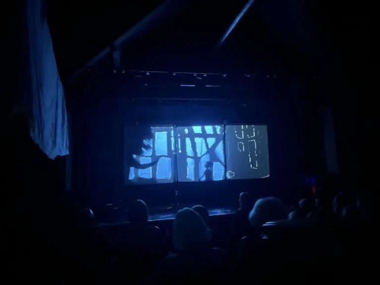 Shadow Puppet Show